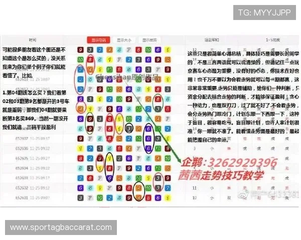 全面解读888真人官方网站最新优惠活动助你轻松稳赢游戏玩法技巧
