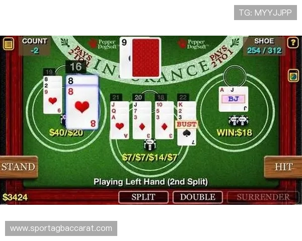 掌握百家樂對子規則的实用指南助你在游戏中合理运用对子策略增加获胜机会