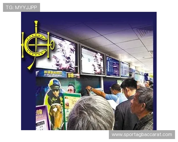 马会投注登录平台安全可靠，轻松享受高效投注体验